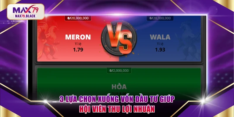 3 lựa chọn xuống vốn đầu tư giúp hội viên thu lợi nhuận