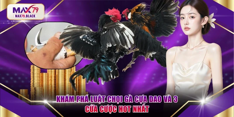 Chọi gà cựa dao