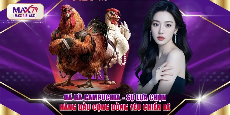 Đá gà Campuchia - Sự lựa chọn hàng đầu của cộng đồng yêu chiến kê