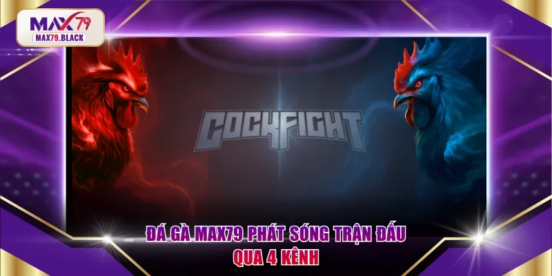 Đá Gà MAX79 phát sóng trận đấu qua 4 kênh