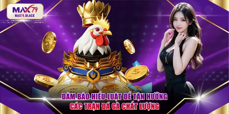 Đảm bảo hiểu luật để tận hưởng các trận đá gà chất lượng