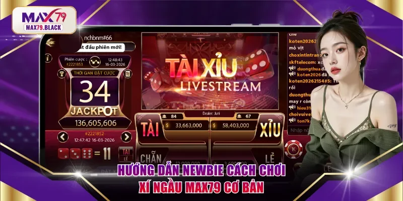 Hướng dẫn newbie cách chơi Xí Ngầu MAX79 cơ bản