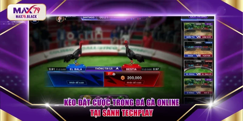 Kèo đặt cược trong đá gà online tại sảnh Techplay
