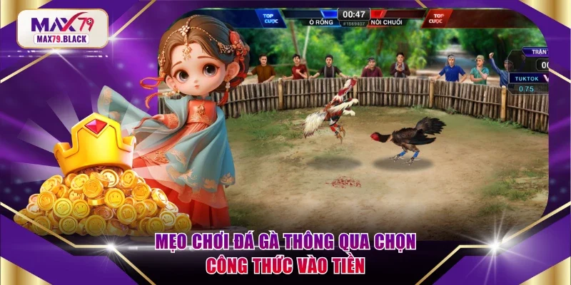 Mẹo chơi đá gà thông qua chọn công thức vào tiền