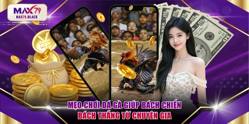 Mẹo chơi đá gà
