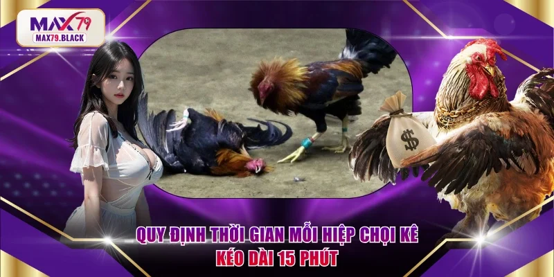 Quy định thời gian mỗi hiệp chọi kê kéo dài 15 phút