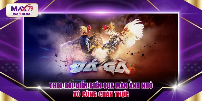 Theo dõi diễn biến qua màn ảnh nhỏ vô cùng chân thực