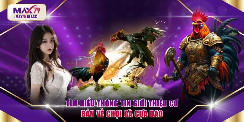 Tìm hiểu thông tin giới thiệu cơ bản về chọi gà cựa dao