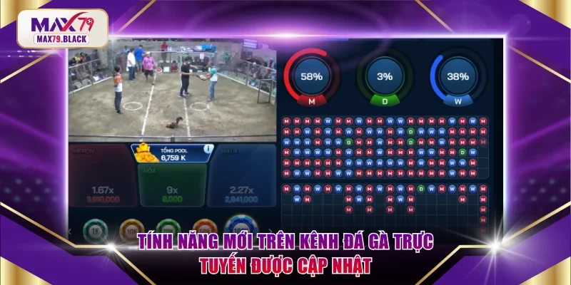 Tính năng mới trên kênh đá gà trực tuyến được cập nhật